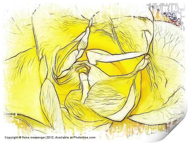 Yellow Rose Print by Fiona Messenger