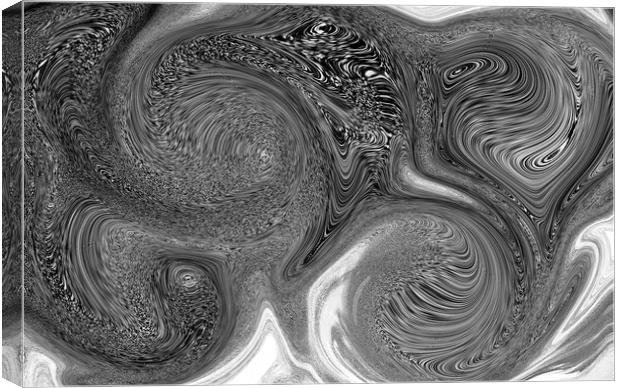 Mono Swirl Abstract Canvas Print by David Pyatt
