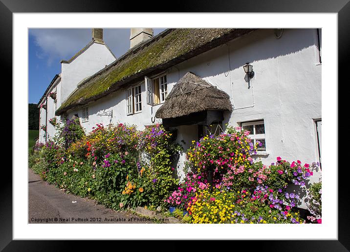 Floral Cottages Framed Mounted Print by Neal P
