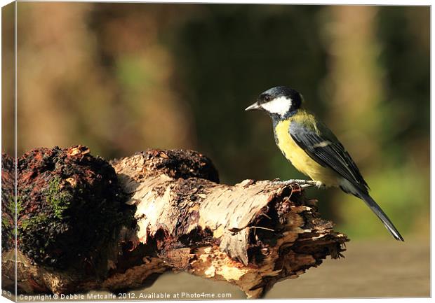A Great Tit Canvas Print by Debbie Metcalfe