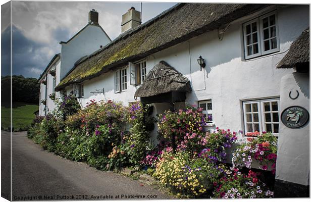 Branscombe Cottages Canvas Print by Neal P