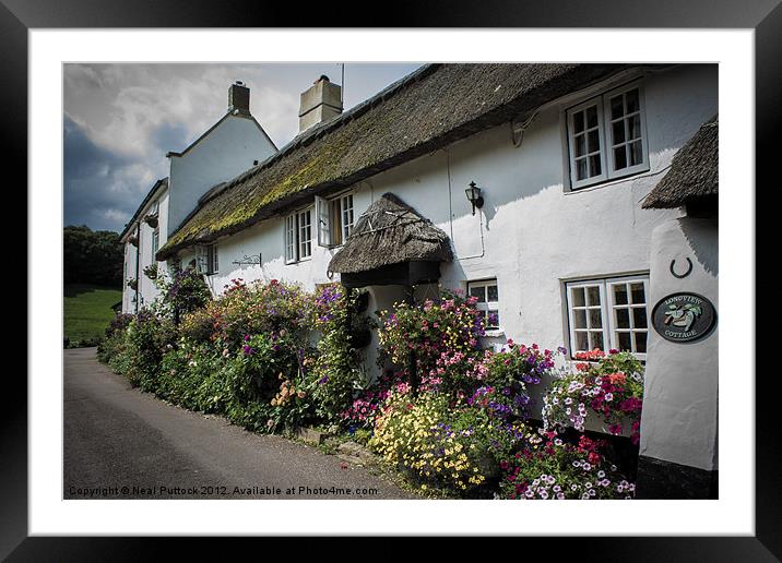 Branscombe Cottages Framed Mounted Print by Neal P