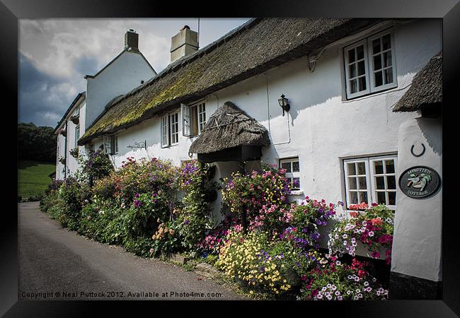 Branscombe Cottages Framed Print by Neal P
