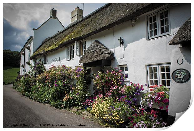 Branscombe Cottages Print by Neal P