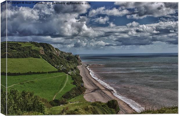Clifftop View Canvas Print by Neal P