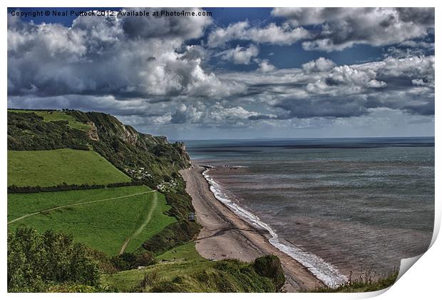 Clifftop View Print by Neal P