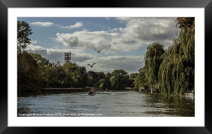 Mucking about on the River Framed Mounted Print by Neal P