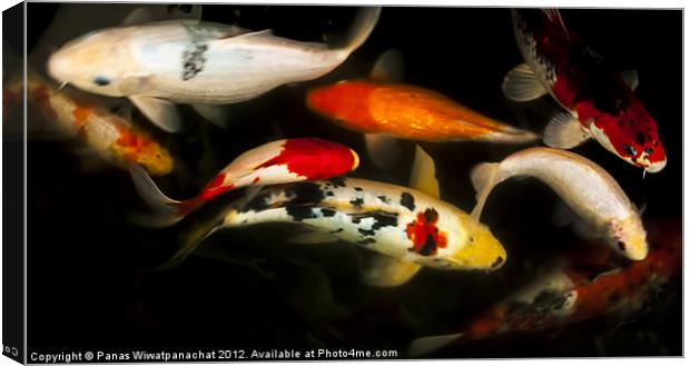 Koi Fish Canvas Print by Panas Wiwatpanachat
