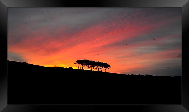 Morning in dingle Framed Print by barbara walsh