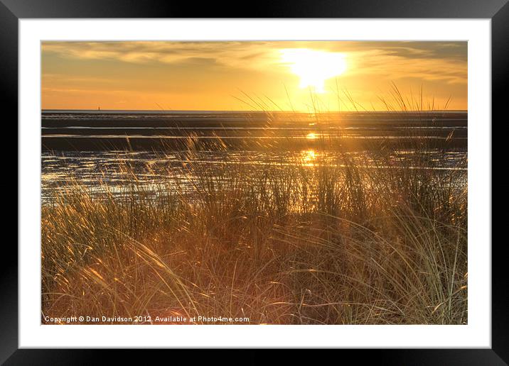 Grassy sunset Framed Mounted Print by Dan Davidson