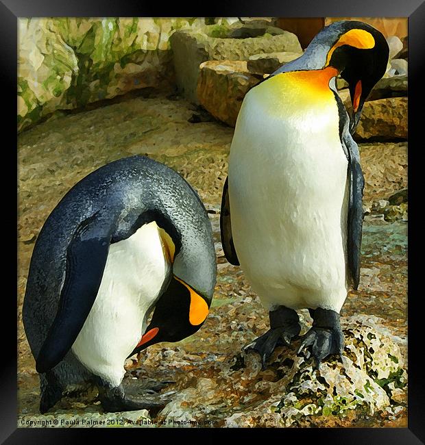 Arty pair of king penquins Framed Print by Paula Palmer canvas