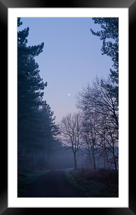 Dawn at Haw Park Wood Framed Mounted Print by Dave Evans