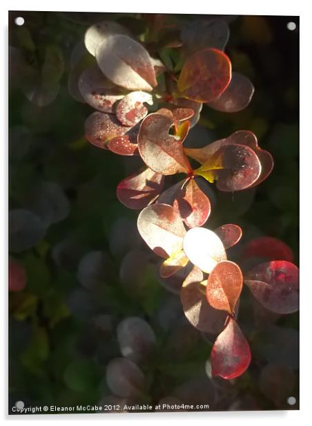 Seasonal Sparkles! Acrylic by Eleanor McCabe