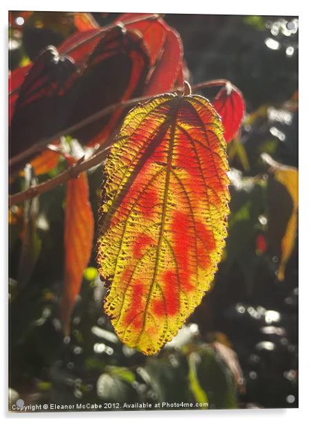 Autumn Flame! Acrylic by Eleanor McCabe