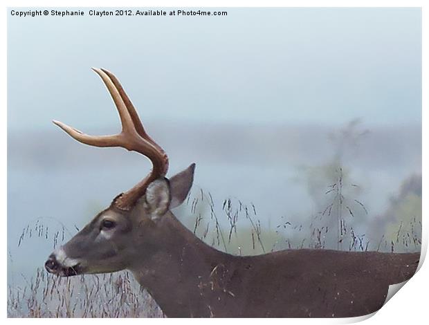 Smokey Mountain Deer Print by Stephanie Clayton