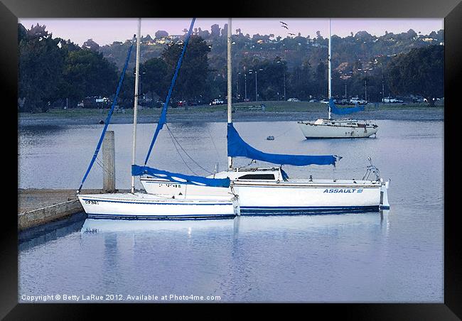 San Diego Sailboats Framed Print by Betty LaRue