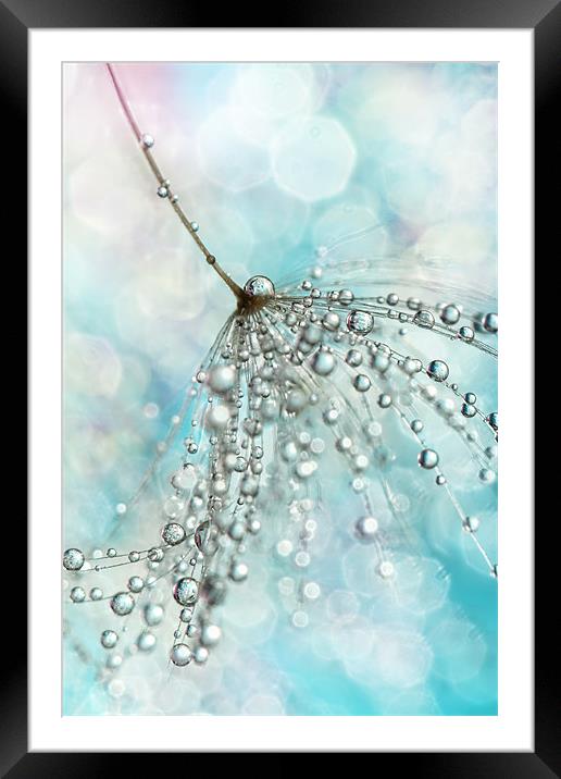 Shower Sparkles Framed Mounted Print by Sharon Johnstone