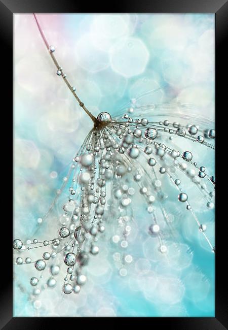 Shower Sparkles Framed Print by Sharon Johnstone