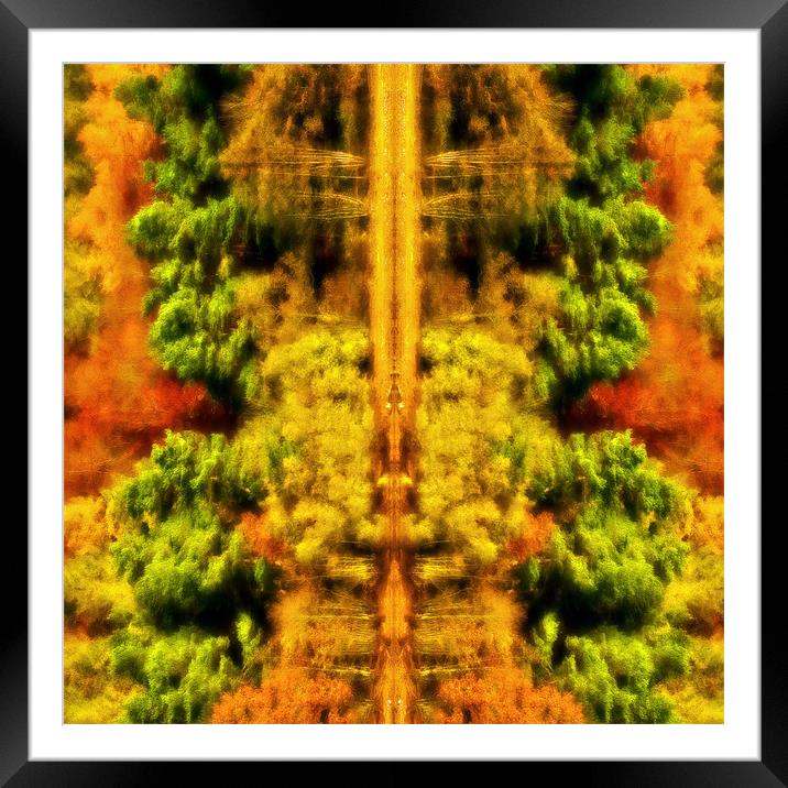 Autumnal Abstract Framed Mounted Print by meirion matthias