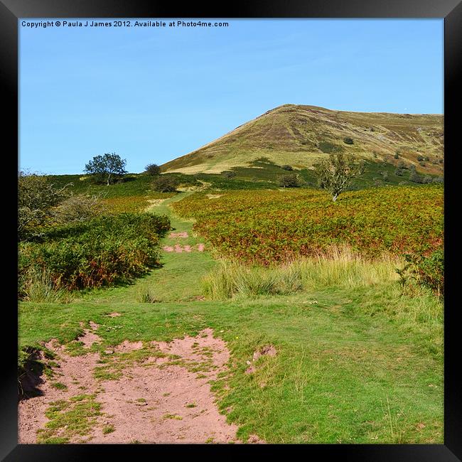 Path to Mynydd Troed Framed Print by Paula J James