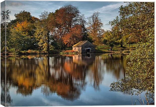 Autumn Reflections Canvas Print by Irene Burdell