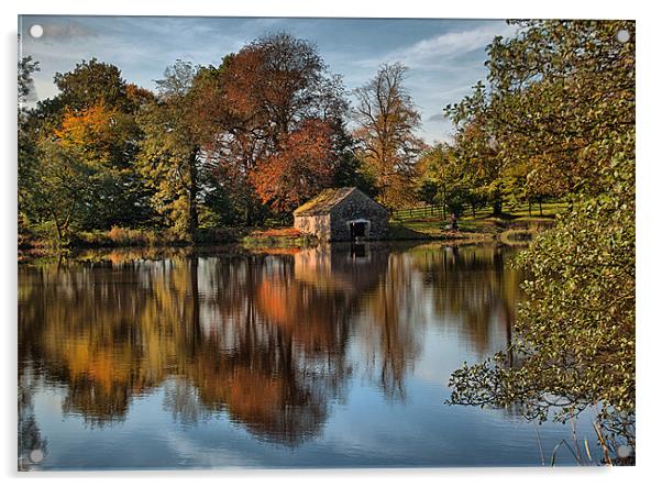 Autumn Reflections Acrylic by Irene Burdell