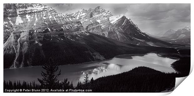 Peyto Lake in the Rockies Print by Peter Blunn