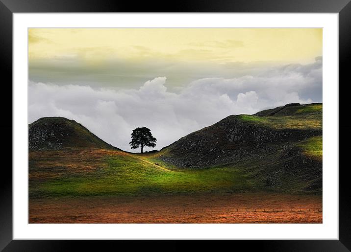 Dawn at sycamore gap Framed Mounted Print by Robert Fielding