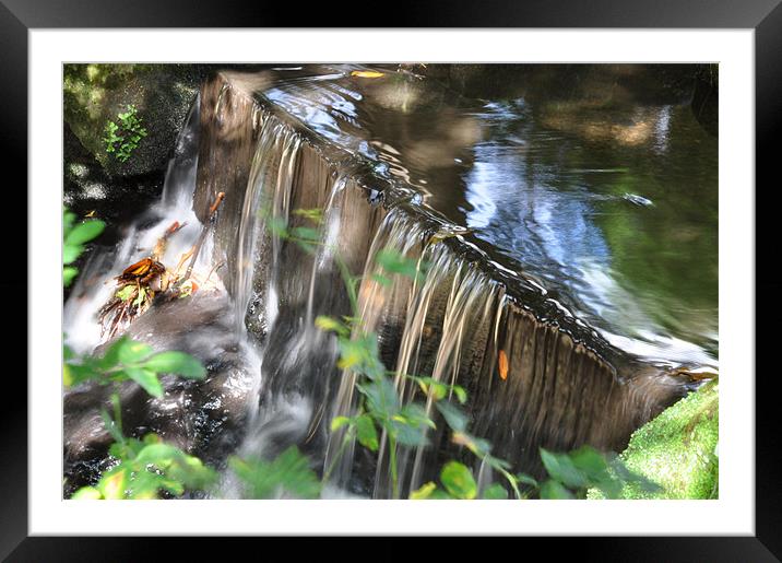 falls Framed Mounted Print by sue davies