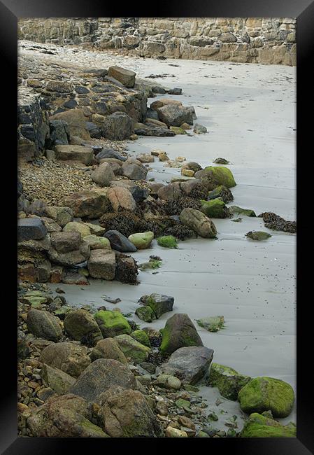 Tide Out Framed Print by Philip Needham