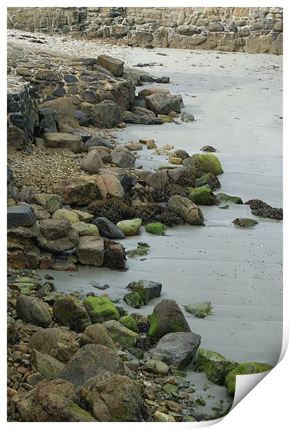 Tide Out Print by Philip Needham