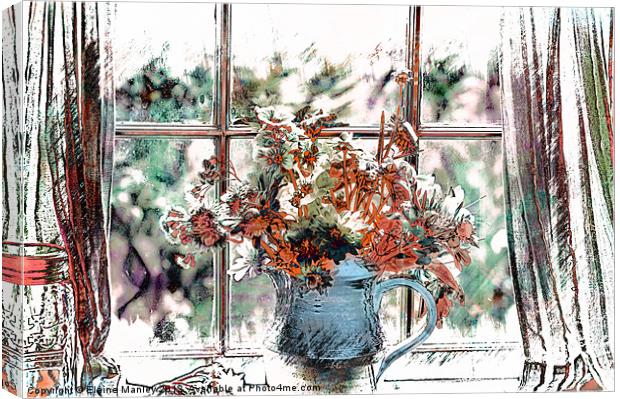Window View Canvas Print by Elaine Manley