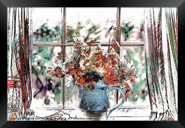 Window View Framed Print by Elaine Manley