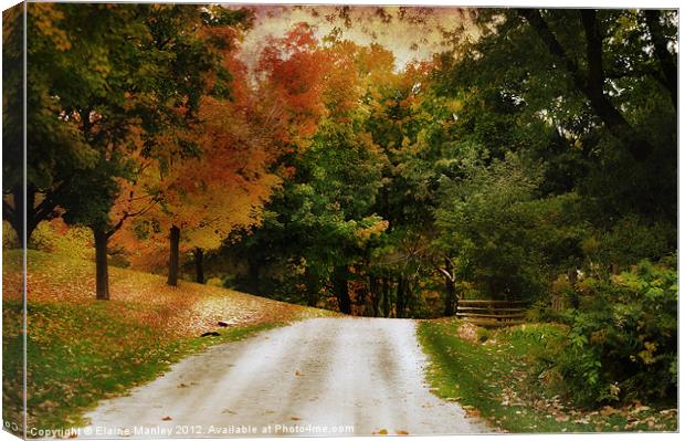 Country Road Canvas Print by Elaine Manley