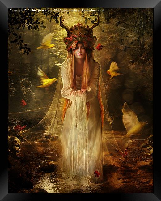 Lady of the Forest Framed Print by Celine B.