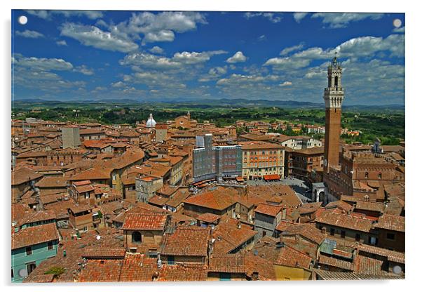 Siena Panoramic I Acrylic by Thomas Schaeffer