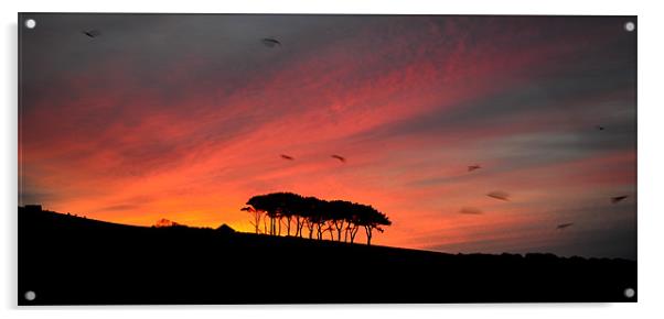 Sunrise in Dingle Acrylic by barbara walsh