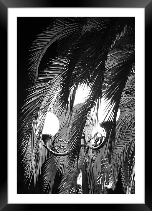 Palm & Light in San Remo Framed Mounted Print by Benoit Charon