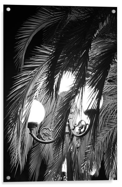 Palm & Light in San Remo Acrylic by Benoit Charon