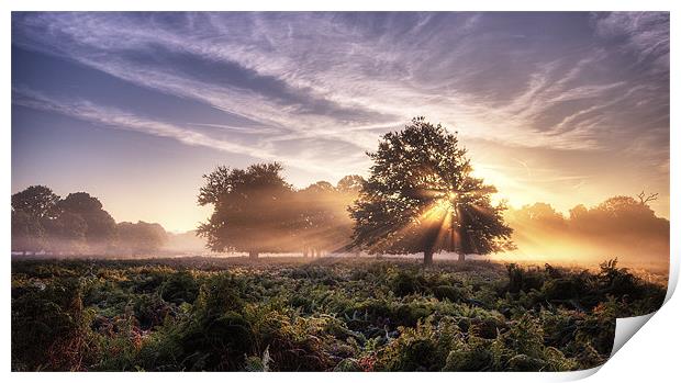 Sunrays Print by Dave Wragg
