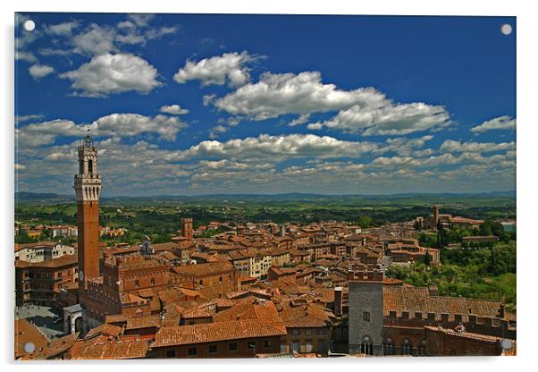 Siena Panoramic II Acrylic by Thomas Schaeffer