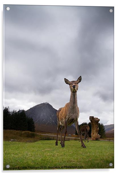 Deer at Glencoe Acrylic by Keith Thorburn EFIAP/b