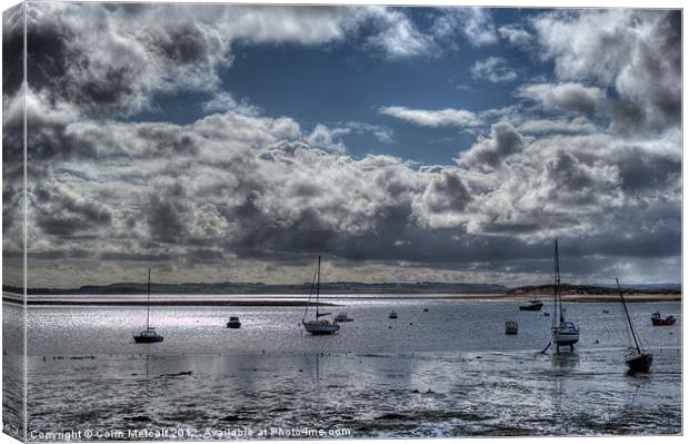 Lindisfarne View #2 Canvas Print by Colin Metcalf