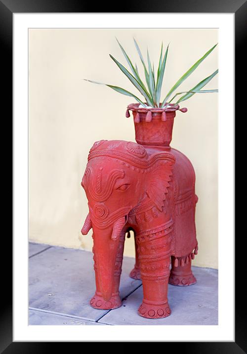 elephant plant pot garden feature Rajasthan India Framed Mounted Print by Arfabita  