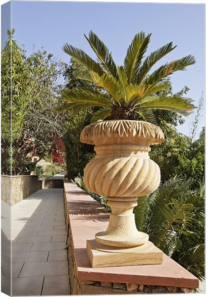 Plant linned garden path ornate stone flower pot Canvas Print by Arfabita  