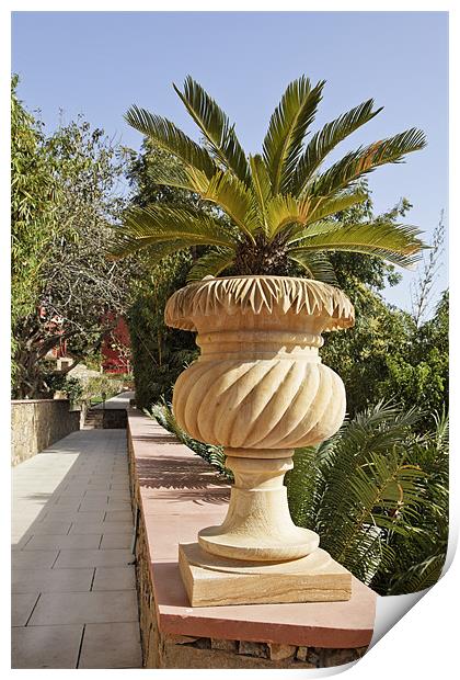 Plant linned garden path ornate stone flower pot Print by Arfabita  