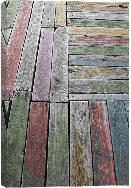 Painted Planks Canvas Print by Adrian Wilkins