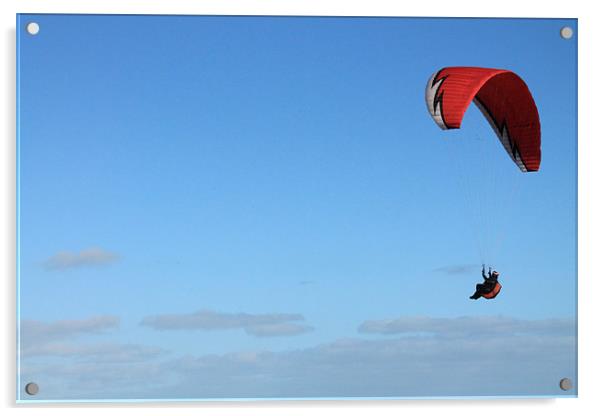 Norfolk Paraglider Acrylic by Adrian Wilkins