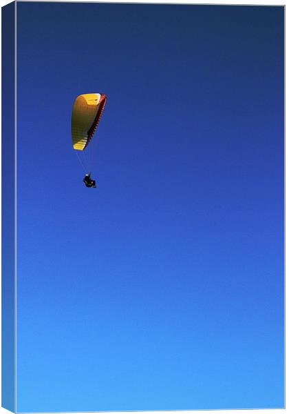 Alone In The Sky Canvas Print by Adrian Wilkins