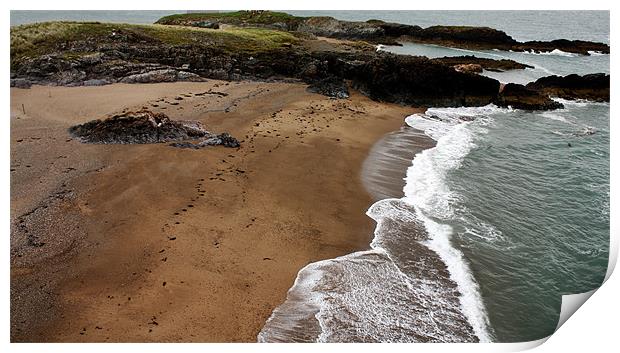 llanddwyn island Print by Amber Osburn